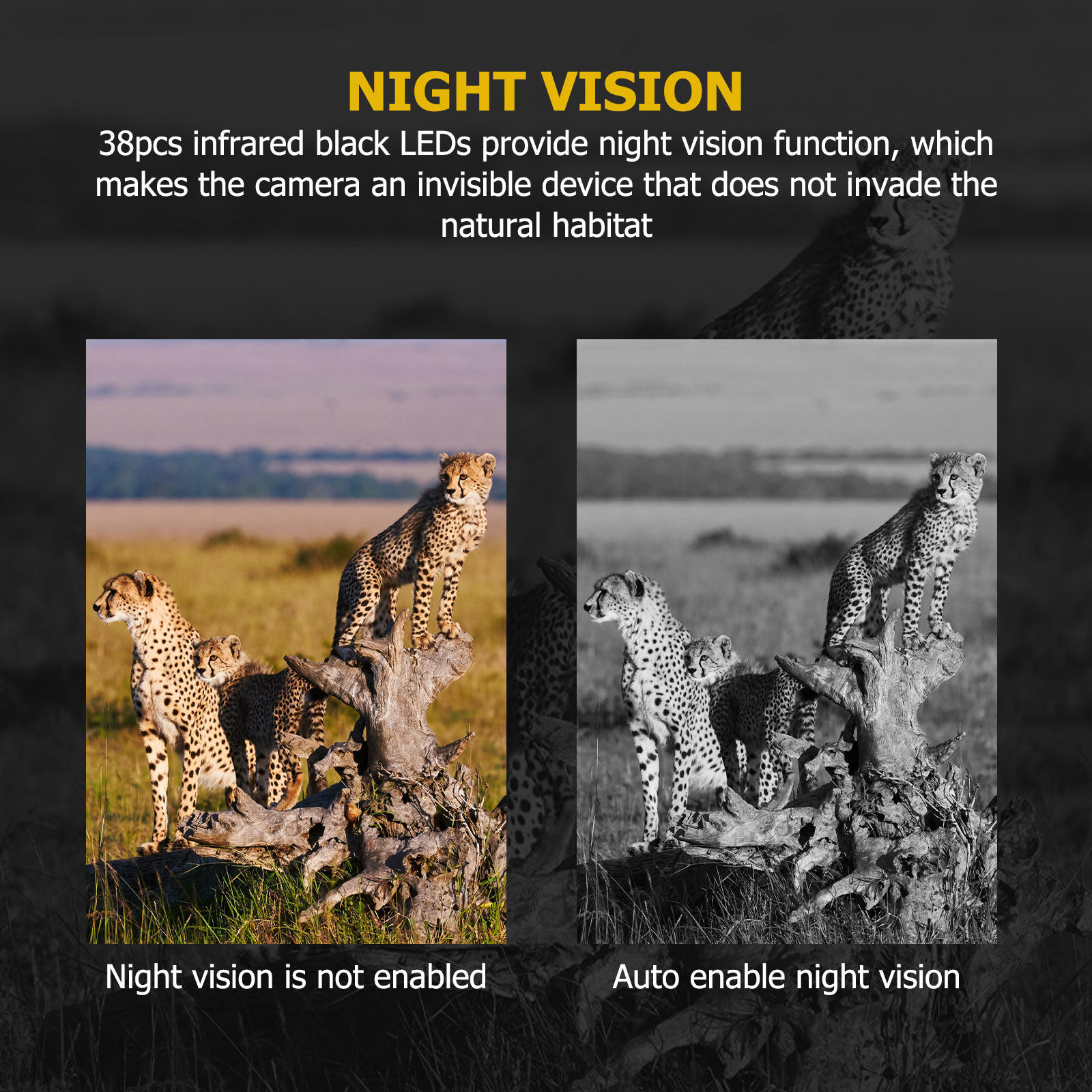 Avcılık Oyun Kamerası 12Mp Pir - Outdoor Hunting Video Camera incelemesi ve fiyatı